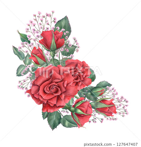 Red roses and pink gypsophila with lush green leaves watercolor illustration isolated on white background. Flower with foliage for wedding invitations, floral packaging, and feminine home decor. 127647407