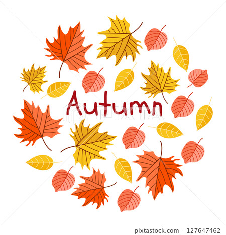 Stunning and Beautiful Autumn Leaves Displayed in Vibrant, EyeCatching and Splendid Colors Stunning and Beautiful Autumn Leaves Displayed in Vibrant, EyeCatching and Splendid Colors 127647462