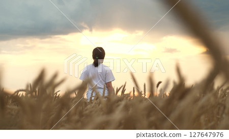 Agriculture Field, Golden Wheat Farm Field Sunset, Girl walking through wheat fields sunset. agriculture. wheat, fields. rural child coming. touch golden ears with your hand. Baby baby girl field at Agriculture Field, Golden Wheat Farm Field Sunset, Girl walking through wheat fields sunset. agriculture. wheat, fields. rural child coming. touch golden ears with your hand. Baby baby girl field at 127647976
