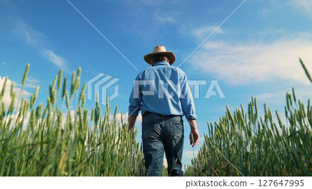 Wheat fields and blue skies, Portrait of a farmer at work, Man in jeans in agriculture, Nature and human in harmony, Wheat crop growing tall, Person strolling farm field, Hands-on farming business Wheat fields and blue skies, Portrait of a farmer at work, Man in jeans in agriculture, Nature and human in harmony, Wheat crop growing tall, Person strolling farm field, Hands-on farming business 127647995