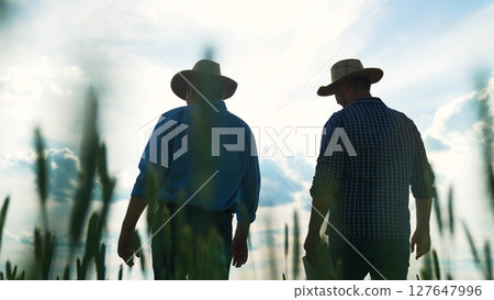 agriculture, businessmen two farmers wheat field, two farmers walking through wheat field, men working green wheat field, businessmen field, growing grain crop, grain harvest, industrial production agriculture, businessmen two farmers wheat field, two farmers walking through wheat field, men working green wheat field, businessmen field, growing grain crop, grain harvest, industrial production 127647996