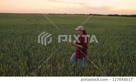 Agriculture, Woman with tablet in wheat field, Female farmer at sunset, Modern agriculture technology, Farmer in a plaid shirt, Smart farming concept, Digital field analysis, Rural technology use Agriculture, Woman with tablet in wheat field, Female farmer at sunset, Modern agriculture technology, Farmer in a plaid shirt, Smart farming concept, Digital field analysis, Rural technology use 127648017