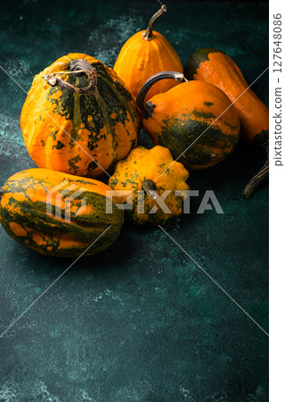 Various decorative pumpkin on green background Various decorative pumpkin on green background 127648086