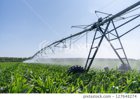 Agricultural pivot irrigation system on a corn field Agricultural pivot irrigation system on a corn field 127648274