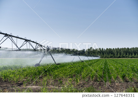 Agricultural pivot irrigation system on a corn field 127648331