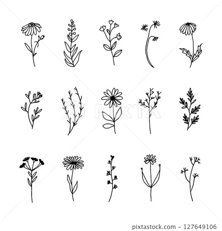 Rounded Bloom Sketch. A stylized bloom with rounded petal shapes and a soft flowing contour, ideal for clean minimal floral art. 127649106