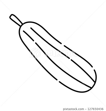 Vegetable marrow black and white vector line icon 127650436