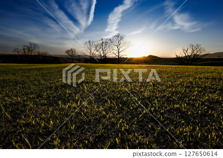 草原上的夕陽（山南公路） 127650614