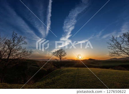 日落時分天空中殘留的凝結尾跡（山南高速公路） 127650622