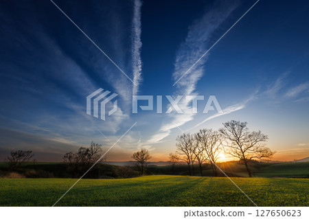 Contrails remaining in the sky as the sun sets (Yamanami Highway) 127650623