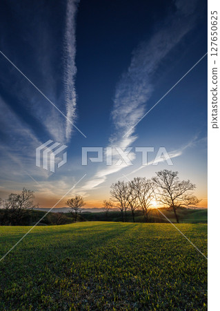 日落時分天空中殘留的凝結尾跡(山南高速公路) 日落時分天空中殘留的凝結尾跡(山南高速公路) 127650625