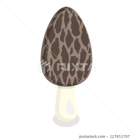 3D Isometric Flat Set of Mushrooms. Item 8 3D Isometric Flat Set of Mushrooms. Item 8 127651707