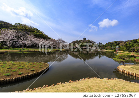 在Sanpi花園的櫻花 127652067