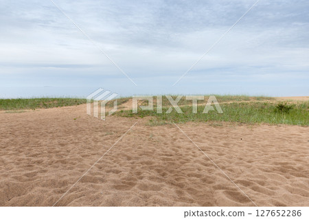 Peaceful sandy beach landscape with gentle grassy dunes leading to the horizon 127652286