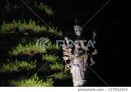 雨引觀音寺的繡球花燈會 雨引觀音寺的繡球花燈會 127652955