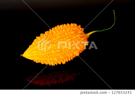 Momordica charantia isolated on a black background. Ripe whole fruits of Momordica charantia. Melon or bitter squash 127653241