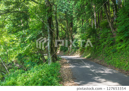 Lake Yogo Circumference Road Prefectural Route 532 Yogocho, Nagahama City, Shiga Prefecture 127653354