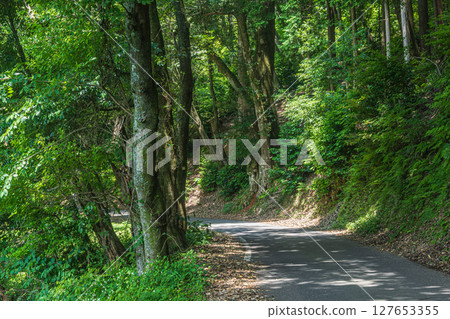Lake Yogo Circumference Road Prefectural Route 532 Yogocho, Nagahama City, Shiga Prefecture 127653355