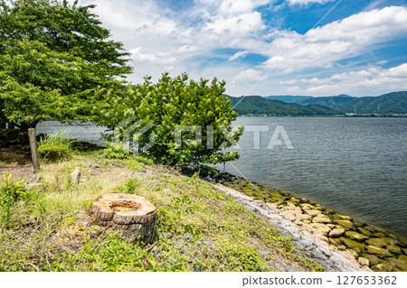 滋賀縣長濱市與胡町與胡湖岸風景 127653362