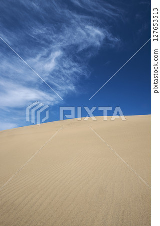 鳥取沙丘美好的風景 127653513