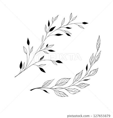 botany tattoo sketch - beautiful twig plant. Botanical element template for graphic design, wedding decor, textiles, souvenir gift, stationery print botany tattoo sketch - beautiful twig plant. Botanical element template for graphic design, wedding decor, textiles, souvenir gift, stationery print 127653879