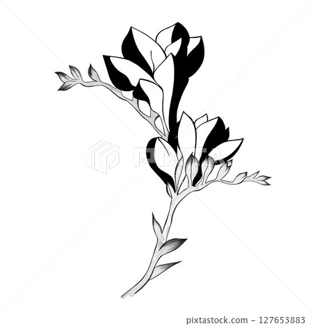 detailed sketch of a flower. Hand-drawn. design greeting card and invitation of the wedding, birthday, Valentine's Day, mother's day and other holiday detailed sketch of a flower. Hand-drawn. design greeting card and invitation of the wedding, birthday, Valentine's Day, mother's day and other holiday 127653883