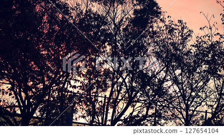 A sunset A sunset 127654104