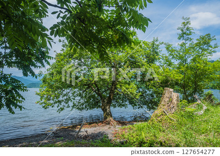 滋賀郡長濱市與吾町與吾湖湖畔風景 127654277
