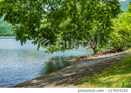 滋賀郡長濱市與吾町與吾湖湖畔風景 127654283