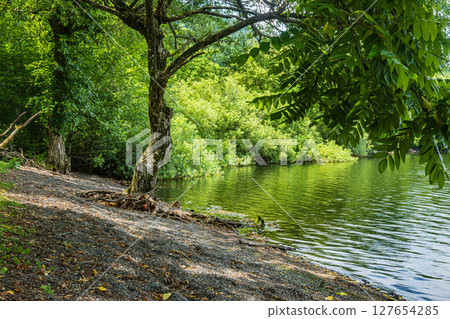 滋賀郡長濱市與吾町與吾湖湖畔風景 滋賀郡長濱市與吾町與吾湖湖畔風景 127654285