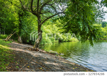 滋賀郡長濱市與吾町與吾湖湖畔風景 127654286