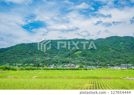 Hokuriku Main Line passing through the countryside of Kohoku, Yogo-cho, Nagahama City, Shiga Prefecture 127654444