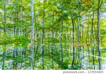 山形空中神社 127654465