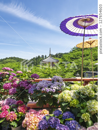 Hydrangea Corridor on a sunny day during the rainy season Hydrangea Corridor on a sunny day during the rainy season 127654603