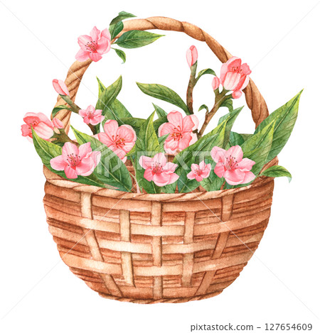 Handmade basket with flowers peach in watercolor. Romantic sketch in pastel colors. Handmade basket with flowers peach in watercolor. Romantic sketch in pastel colors. 127654609