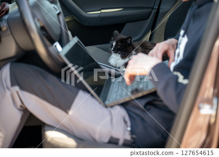 Man working on laptop inside car with a black cat relaxes on passenger seat, concept of remote work  127654615