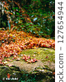 Carpet of fallen leaves 127654944