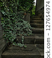 Ivy-covered concrete stairs, damp atmosphere 127654974