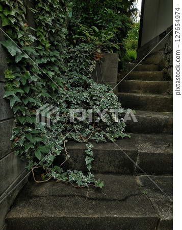 Ivy-covered concrete stairs, damp atmosphere 127654974