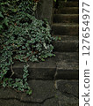ivy covered staircase 127654977