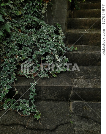 ivy covered staircase ivy covered staircase 127654977
