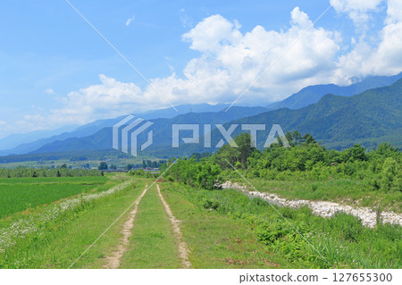 Azumino in early summer: green countryside Azumino in early summer: green countryside 127655300
