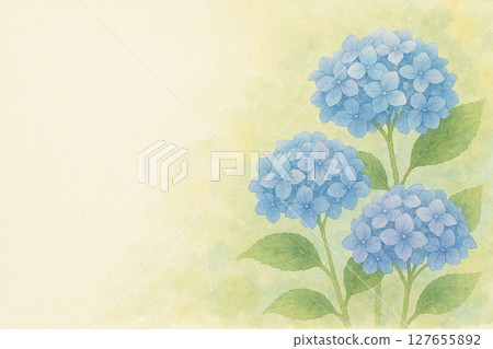 Hydrangea frame painted by watercolor Hydrangea frame painted by watercolor 127655892