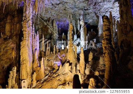 Okinawa limestone cave Gyokusendo cave Okinawa limestone cave Gyokusendo cave 127655955