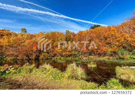 【八甲田山古達裡濕地】八甲田山脈的地下水從古達裡濕地湧出,形成一道清澈美麗的溪流。秋季的紅葉更是美不勝收。 【八甲田山古達裡濕地】八甲田山脈的地下水從古達裡濕地湧出,形成一道清澈美麗的溪流。秋季的紅葉更是美不勝收。 127656372