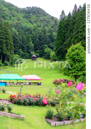山形縣東澤玫瑰公園盛開的玫瑰 山形縣東澤玫瑰公園盛開的玫瑰 127656416