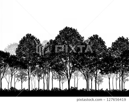 Beautiful silhouettes of trees and a tree-lined road | Silhouettes of Trees Lin 127656419