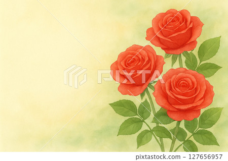紅玫瑰花朵的水彩插圖 紅玫瑰花朵的水彩插圖 127656957