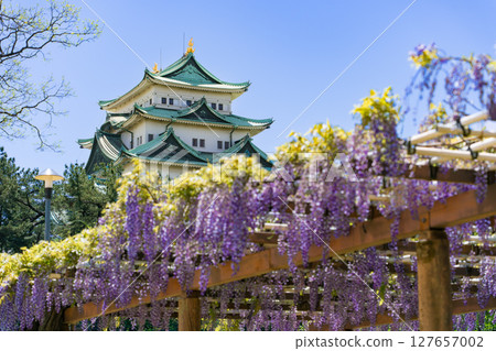 名城公園紫藤走廊和名古屋城堡 127657002
