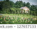 Nasu Flower World 127657133